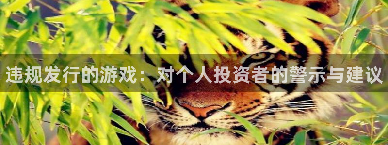 db电竞官网登录注册失败：违规发行的游戏：对个人投资者的警示与建议