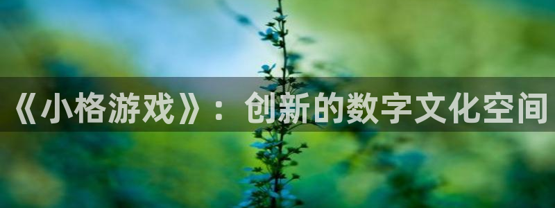 db电竞电子商务有限公司电话：《小格游戏》：创新的数字文化空间