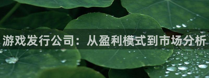 db电竞子的所有小说：游戏发行公司：从盈利模式到市场分析