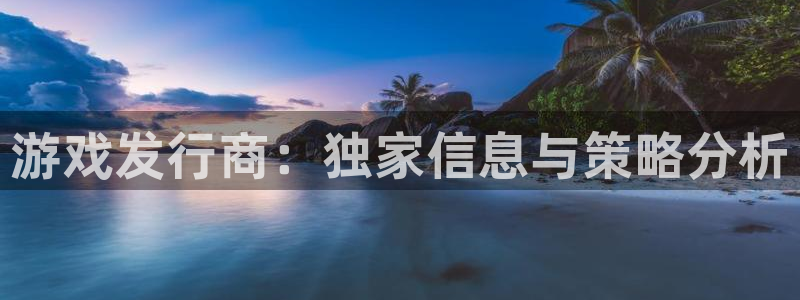 db电竞电子商务有限公司电话：游戏发行商：独家信息与策略分析