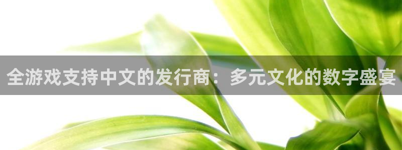db电竞子经理人：全游戏支持中文的发行商：多元文化的数字盛宴