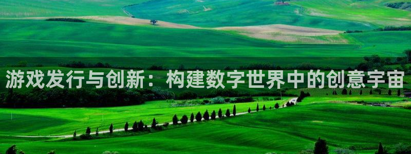 db电竞官网注册方法有哪些呢：游戏发行与创新：构建数字世界中的创意宇宙