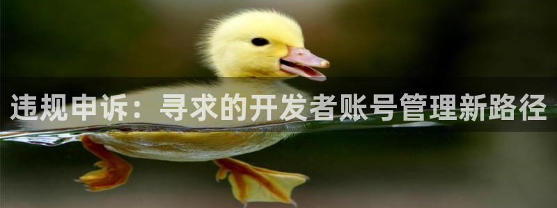 南京db电竞子电子商务有限公司：违规申诉：寻求的开发者账号管理新路径
