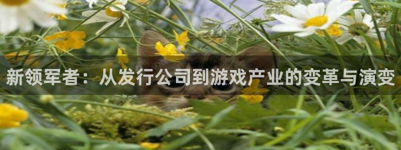 db电竞官网注册平台合法吗?：新领军者：从发行公司到游戏产业的变革与演变
