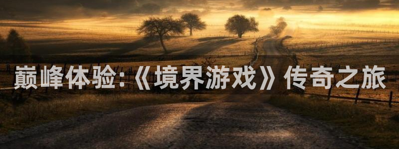 db电竞官网注册平台是什么公司：巅峰体验:《境界游戏》传奇之旅