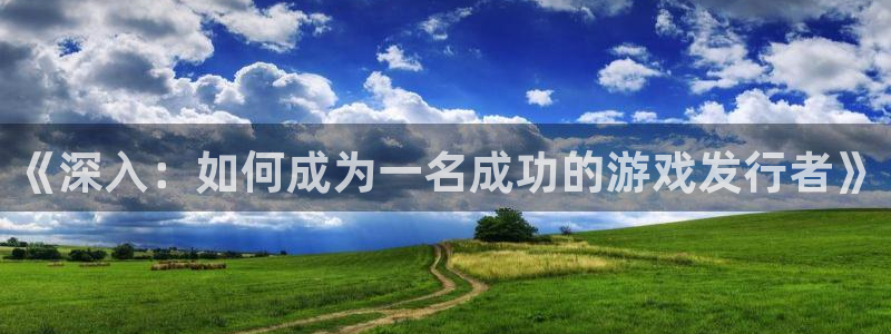 db电竞技术有限公司怎么样：《深入：如何成为一名成功的游戏发行者》