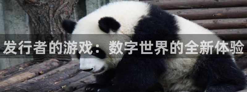 db电竞环境科技有限公司