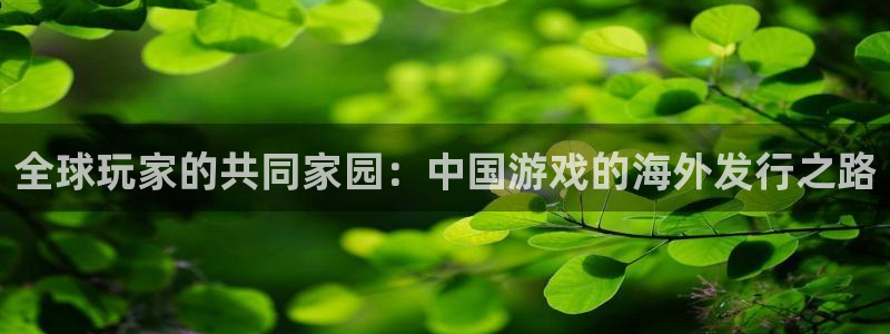 db电竞官网注册平台官网：全球玩家的共同家园：中国游戏的海外发行之路