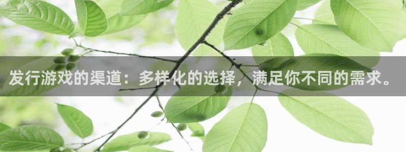 db电竞官网注册方法有哪些呢：发行游戏的渠道：多样化的选择，满足你不同的需求。