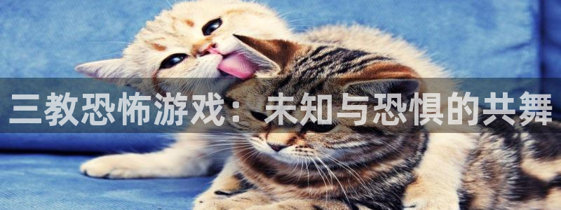 db电竞官网注册平台登录：三教恐怖游戏：未知与恐惧的共舞