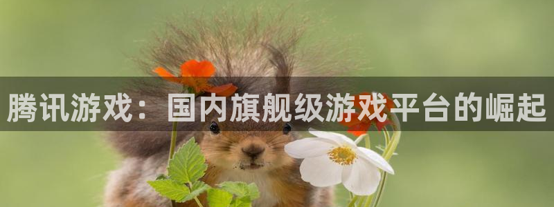 db电竞子小说：腾讯游戏：国内旗舰级游戏平台的崛起