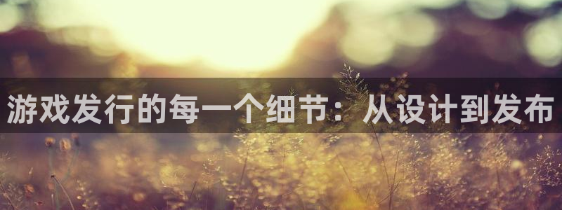 db电竞官网平台会黑款吗：游戏发行的每一个细节：从设计到发布