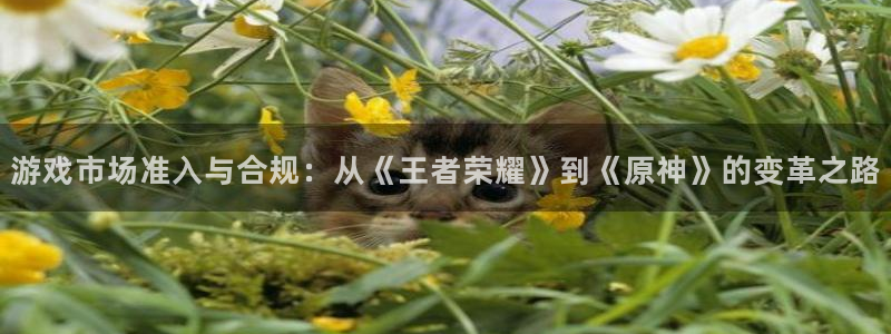 db电竞电子商务怎么样：游戏市场准入与合规：从《王者荣耀》到《原神》的变革之路