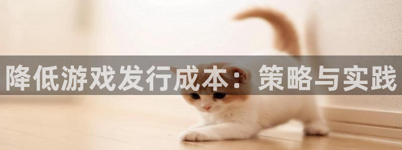 陕西db电竞子文化创意有限公司有什么游戏