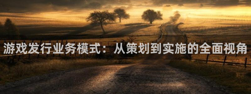 db电竞子出版社董事长：游戏发行业务模式：从策划到实施的全面视角