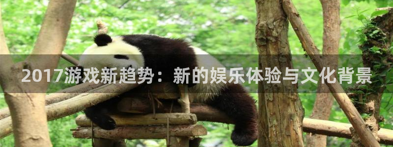 db电竞子的所有小说